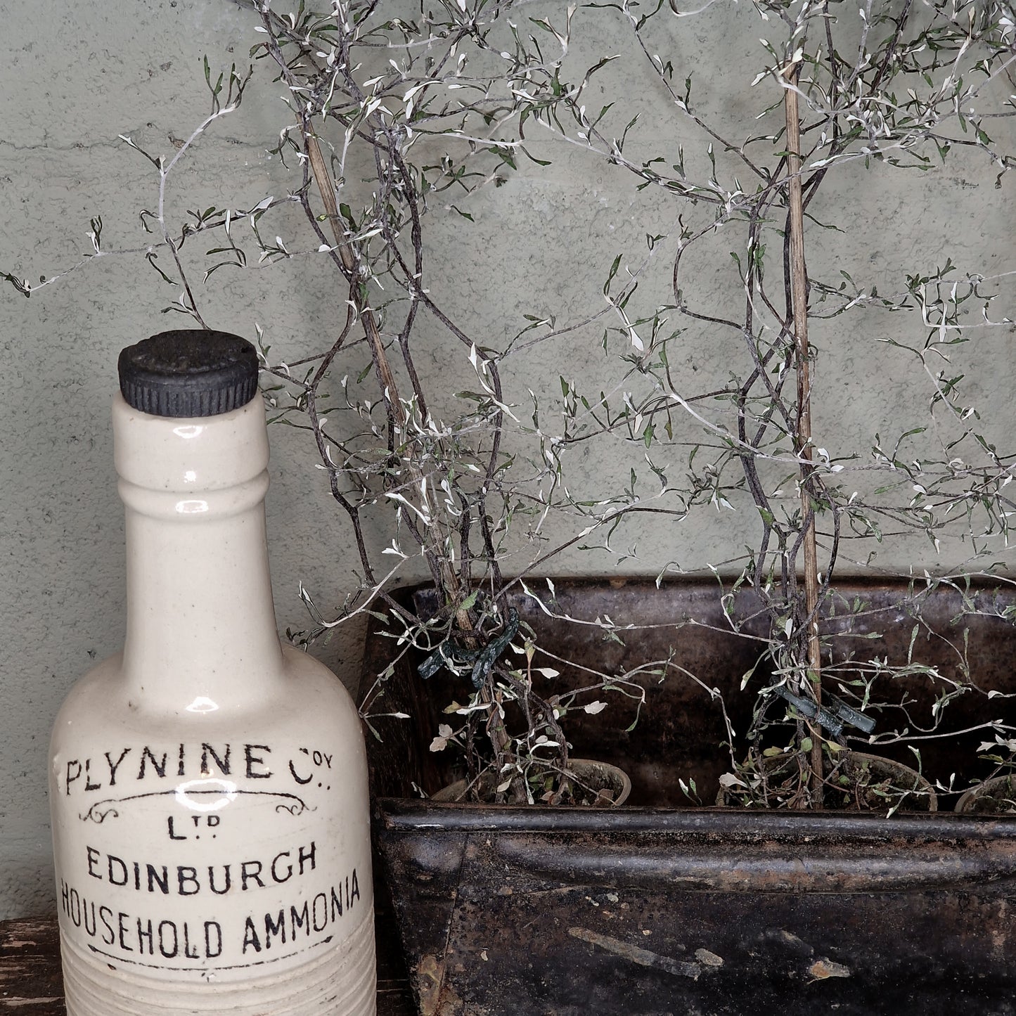 Antique household stoneware ammonia bottle